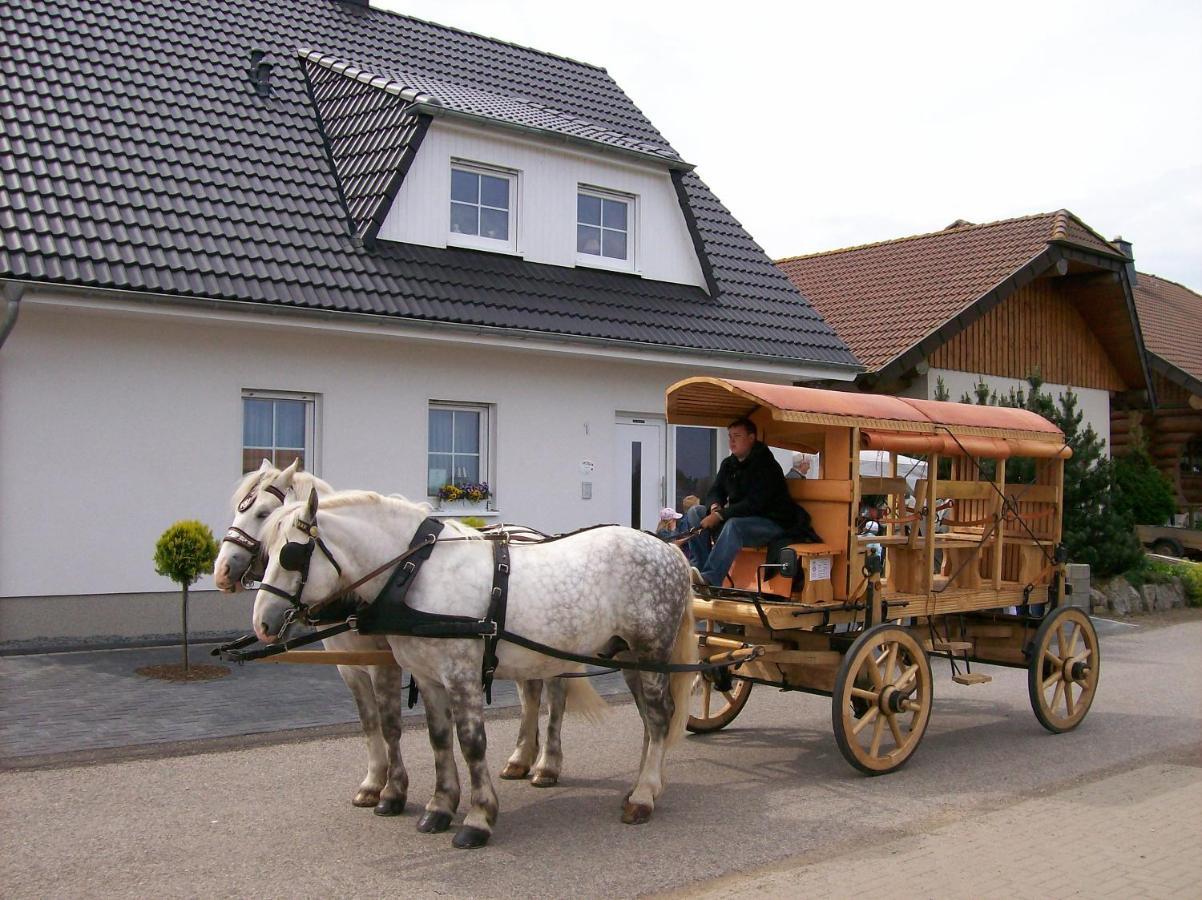 Gastehaus „Haus Am Hahnenberg“ Bed and Breakfast Marmagen Eksteriør billede